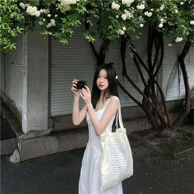 骚狐狸